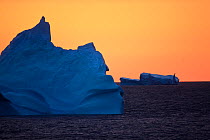 Icebergs at dusk, Greenland, August 2009