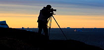 Photographer, Kai Jensen, silhouetted at sunset, photographing icebergs, Qeqertarsuaq, Disko Bay, Greenland, August 2009