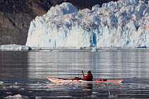 Man kayaking in front of the Eqi glacier, Greenland, August 2009