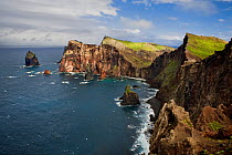 Coastal cliffs, Ponta de Sao Lourenco, Madeira, March 2009
