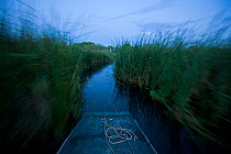 Wooden boat on a channel between reeds on lake Tisza at dusk, Hortobagy National Park, Hungary, July 2009