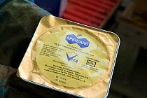 Apiguard Gel, active ingredient thymol, a naturally occurring substance derived from thyme used to treat Honey bees (Apis mellifera) against varroa mite, Buckinghamshire, England, UK