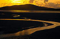Luskentyre sand banks in the Sound of Taransay, South Harris, Outer Hebrides, Scotland, UK, June 2009