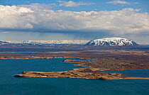 Blafell in the distance behind Lake Myvatn, Thingeyjarsyslur, Iceland, May 2009