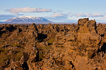 Gyrfalcon (Falco rusticolus) perched on rock formation, Myvatn, Thingeyjarsyslur, Iceland, June 2009