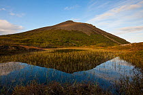 Vindbelgjarfjall with reflection in water, Myvatn, Thingeyjarsyslur, Iceland, June 2009