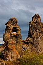 Gyrfalcon (Falco rusticolus) perched near nest with chicks in hole in rock pillar, Myvatn, Thingeyjarsyslur, Iceland, June 2009