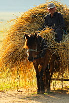 Horse pulling cart of hay, Lake Prespa National Park, Albania, June 2009