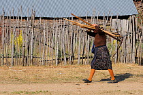 Woman carrying scythes and hay forks, Lake Prespa National Park, Albania, June 2009