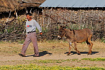 Farmer with donkey, Lake Prespa National Park, Albania, June 2009