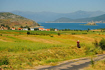 Landscapes towards Lake Prespa with a woman cutting grass, Lake Prespa National Park, Albania, June 2009
