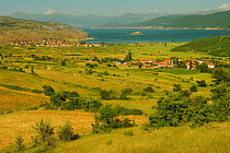 View towards Lake Prespa, Lake Prespa National Park, Albania, June 2009