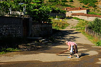 Woman cleaning the village road, Lesser Lake Prespa, Lake Prespa National Park, Albania, June 2009