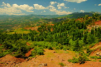 Typical landscape in Shebeniku-Jabllanica National Park, Albania, June 2009