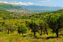 City of Vlora in the distance, Albania, June 2009