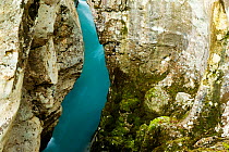 River Soca flowing through the Velika korita, Triglav National Park, Slovenia, October 2008