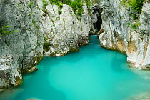 River Lepenjica flowing through narrow gap in rocks, Triglav National Park, Slovenia, June 2009