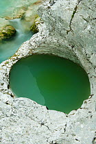 Pothole in rock next to the River Lepenjica, Triglav National Park, Slovenia, June 2009