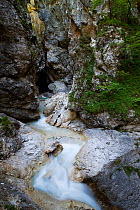 River Mlinarica flowing through Korita mlinarice / Mlinarica Canyon, Triglav National Park, Slovenia, June 2009