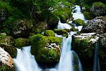 River Lepenjica cascading past moss covered stones, Triglav National Park, Slovenia, June 2009