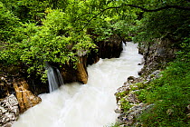 River Soca after heavy rain flowing through Velika korita, Triglav National Park, Slovenia, June 2009
