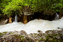 River Soca after heavy rain flowing through Velika korita, Triglav National Park, Slovenia, June 2009