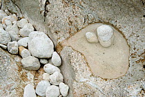 Pothole created by the River Soca in Mala korita (Little Canyon) Triglav National Park, Slovenia, June 2009