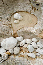 Pothole created by the River Soca in Mala korita(Little Canyon) Triglav National Park, Slovenia, June 2009
