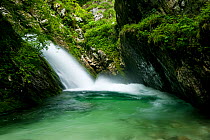 Waterfall on the Lepenjica River, Triglav National Park, Slovenia, June 2009