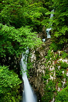 Waterfalls on the River Lepenjica, Triglav National Park, Slovenia, June 2009