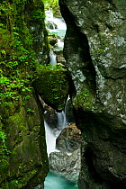 The Zadlascica river flowing through Zadlascica canyon, with a triangular rock called medvedova glava (bears's head) Triglav National Park, Slovenia, June 2009