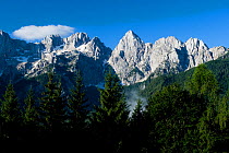Mount Spik (2,472m) in the centre viewed from Gozd-Martuljek, Triglav National Park, Julian Alps, Slovenia, July 2009