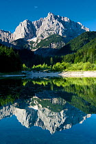 Mount Prisojnik (2,547m) with reflection in a small pond beside the river Pisnica, Kranjska Gora, Triglav National Park, Julian Alps, Slovenia, July 2009