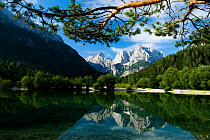 Mount Prisojnik (2,547m) and Mount Razor (2,601m) with reflection in a small pond beside the river Pisnica, Kranjska Gora, Triglav National Park, Julian Alps, Slovenia, July 2009
