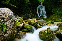 River Lepenjica cascading down over rocks, Triglav National Park, Slovenia, July 2009
