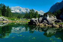 First Double Lake (Dvojno jezero) with mountains reflected, Triglav National Park, Slovenia, August 2009