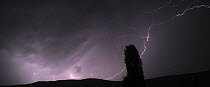 Thunderstorm over the Galicica mountain range with a Lombardy poplar (Populus nigra) silhouetted, Galicica National Park, Macedonia, Macedonia, June 2009