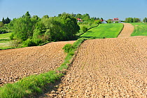 Ploughed and cultivated strips, farmland, Poland, May 2009