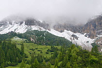Fresh snow below mountains hidden in clouds with European larch trees (Larix decidua) growing, Liechtenstein, June 2009