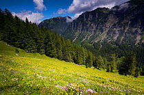 Mountain landscape near Steg, Liechtenstein, June 2009
