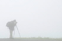 Photographer, Edwin Giesbers, at work in mist for Wild Wonders of Europe mission, Liechtenstein, July 2009