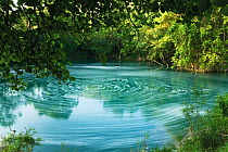 Whirl pool with foam (from waterfall) or pollution floating on surface, Trebizat River, near the Kravice Falls, Bosnia and Herzegovina, May 2009