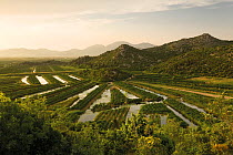 Cultivated part of the lower Neretva river delta, Dalmatia region, Croatia, May 2009