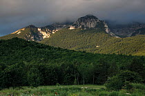 Mali Troglav (1,913m) surrounded by clouds in the Dinara mountain range, Bosnia and Herzegovina, May 2009