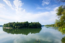 Tree covered island in the Sava River, Lonjsko Polje Nature Park, near Puska village, Croatia (right) Bosnia and Herzegovina (left) June 2009