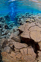 Underwater landscape showing the tectonic boundary between the Eurasian and the North American plates, with a diver in the distance, Silfra, Thingvellir lake, Thingvellir National Park, Iceland, May 2...
