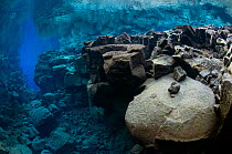 Underwater landscape showing the tectonic boundary between the Eurasian and the North American plates, Silfra, Thingvellir lake, Thingvellir National Park, Iceland, May 2009