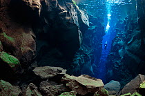 Diver in the tectonic boundary between the Eurasian and the North American plates, Silfra, Thingvellir lake, Thingvellir National Park, Iceland, May 2009