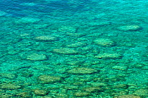 Clear sea water showing stones beneath surface, Karpaz Peninsula, North Cyprus, April 2009