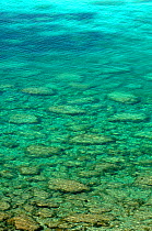 Clear sea water showing stones below the surface, Karpaz Peninsula, North Cyprus, April 2009
